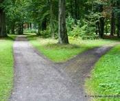 choosing mediation path fork 