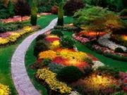 beautiful garden mediation benefits